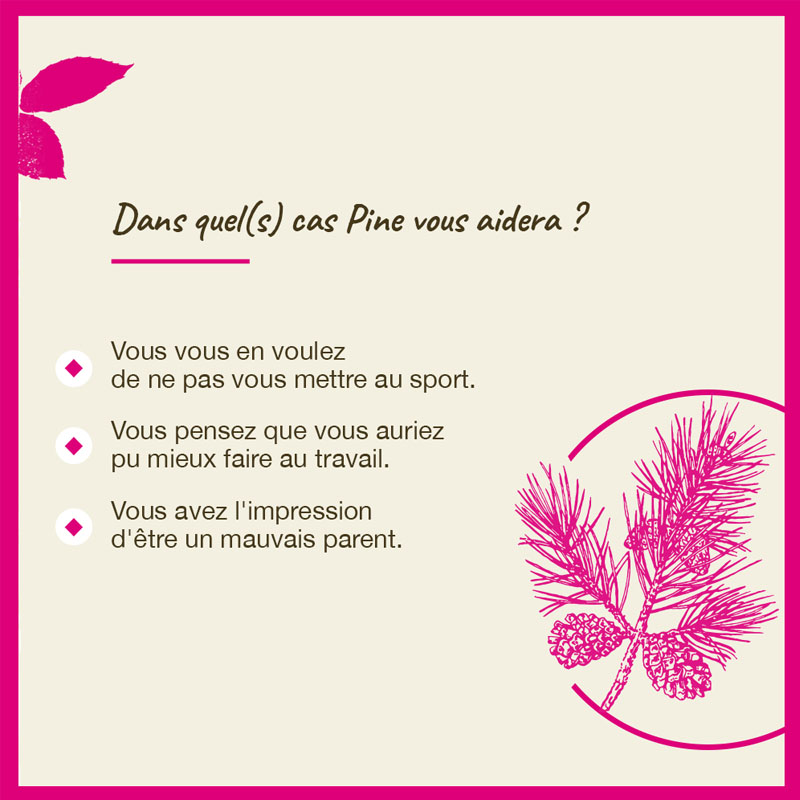 Fleurs de Bach Pine n°24
