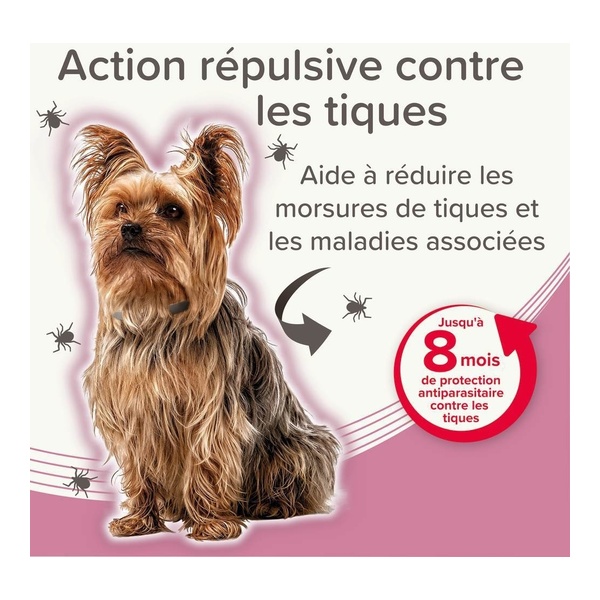 Collier anti puce chien Beaphar
