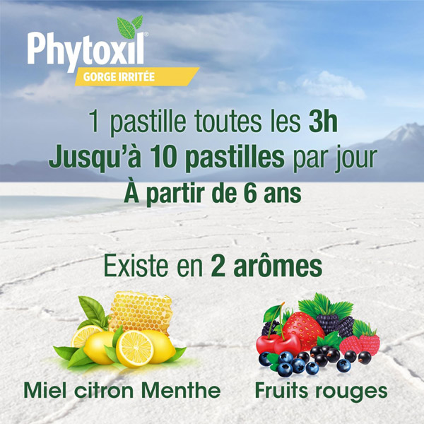 Phytoxil Mal de gorge pastilles miel citron menthe
