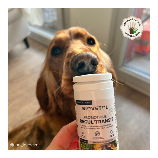 Probiotique chien et chiot Biovetol Régul Transit comprimés