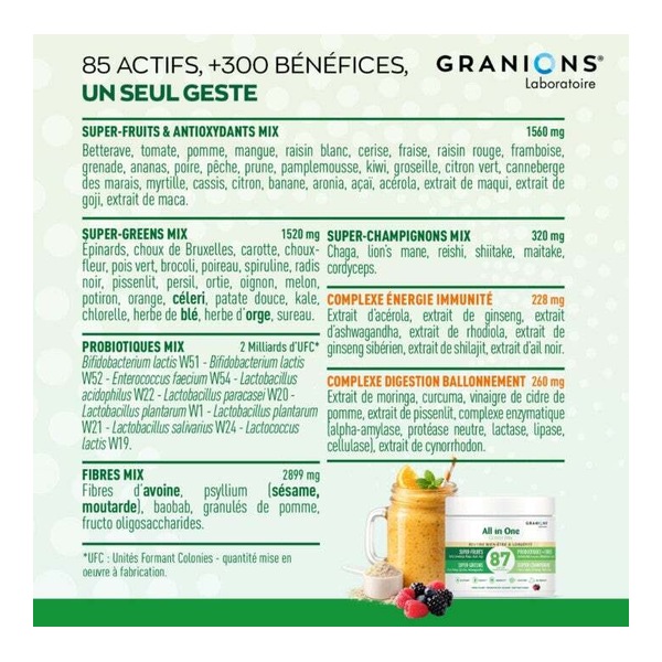 Granions All in One Green Mix Bien être et longévité poudre