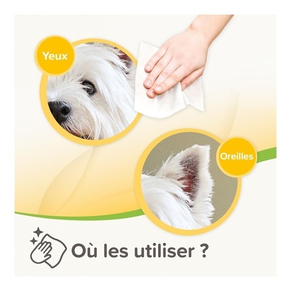 Beaphar Lingettes nettoyantes pour Chien et Chat