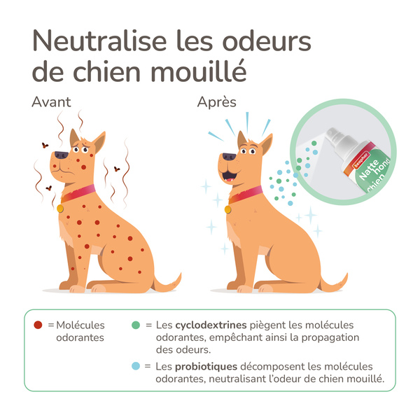 Beaphar Spray Chien mouillé