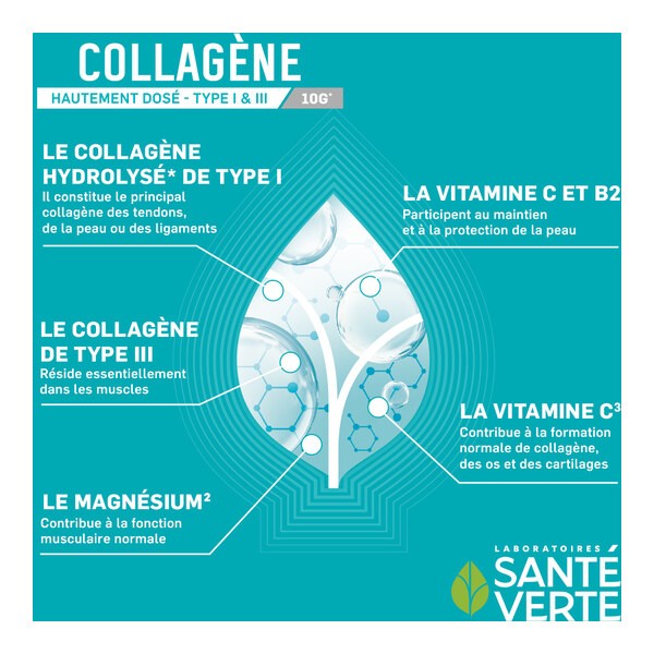 Santé Verte Collagène 10 g stick