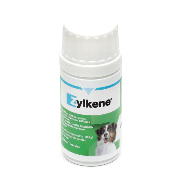 Zylkene Chien 10 à 30 kg gélules