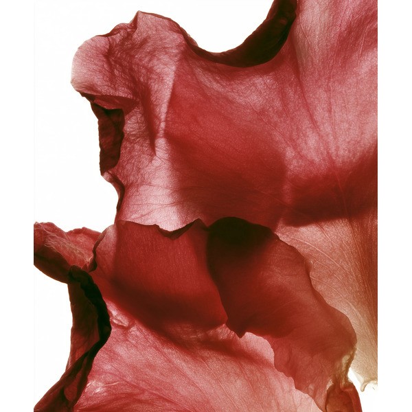 Melvita Source de Roses Gel crème Hydra glow Bio