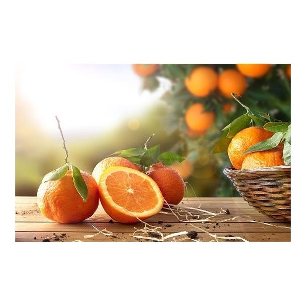 Berocca Energie Pro B12 unidoses