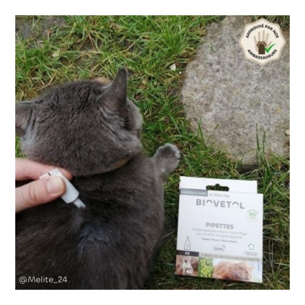 Pipette antiparasitaire chat Biovetol