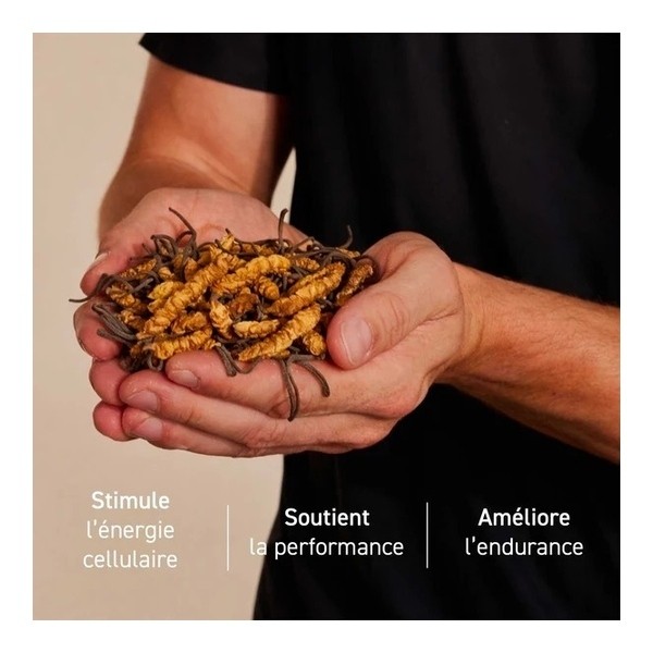 French Mush Cordyceps Bio gelules