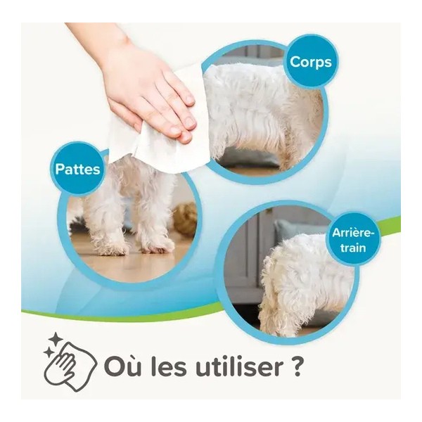 Beaphar Lingettes nettoyantes pour Chien et Chat