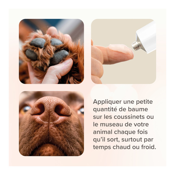 Beaphar Baume coussinets plantaires chien et chat
