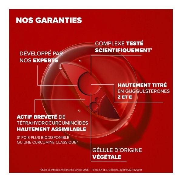 Arkostérol Expert gélules