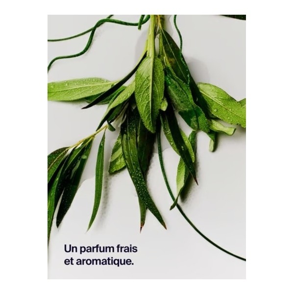 Horace Déodorant Protection 12h