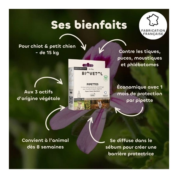 Pipette antiparasitaire chien Biovetol Bio