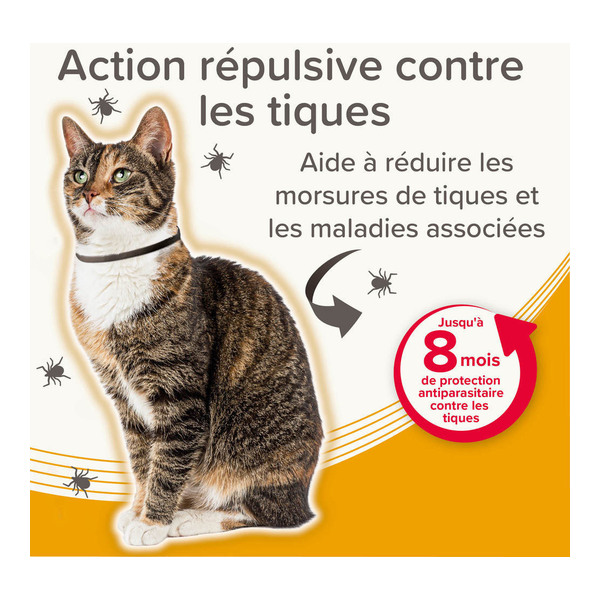 Collier anti puce chat Beaphar