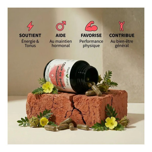 Feel Pure Coup de Boost Testostérone gélules