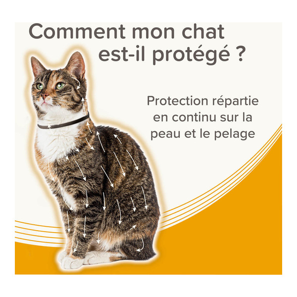 Collier anti puce chat Beaphar