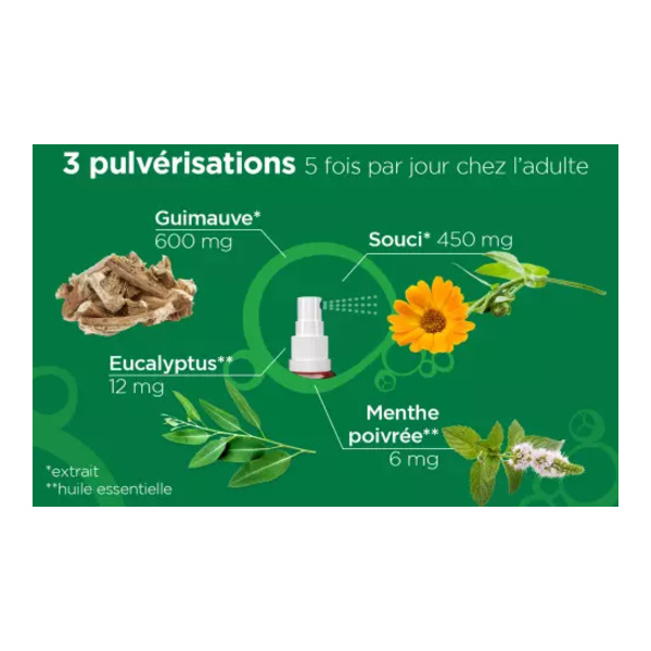 L52 Flash Spray gorge