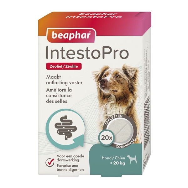 Beaphar IntestoPro comprimés chien et chat