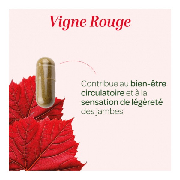 Super Diet Vigne rouge gélules Bio