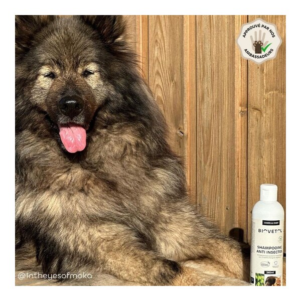 Shampooing anti insectes chien et chat Biovetol