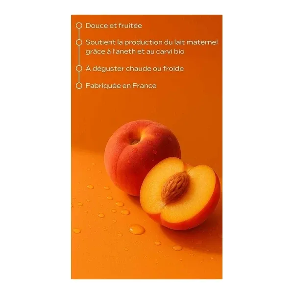 Weleda Tisane allaitement bio sachets