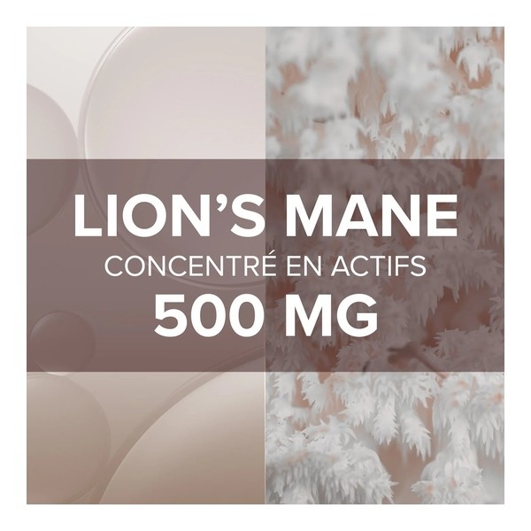 Arkogélules Lion's Mane gélules