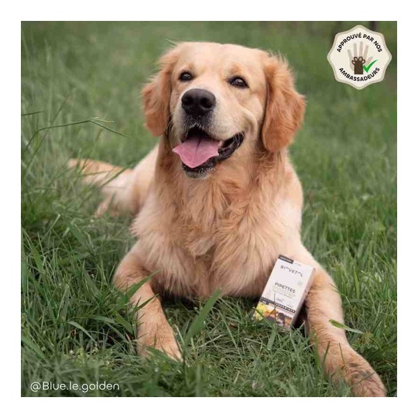 Pipette antiparasitaire chien Biovetol Bio