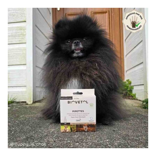Pipette antiparasitaire chien Biovetol Bio