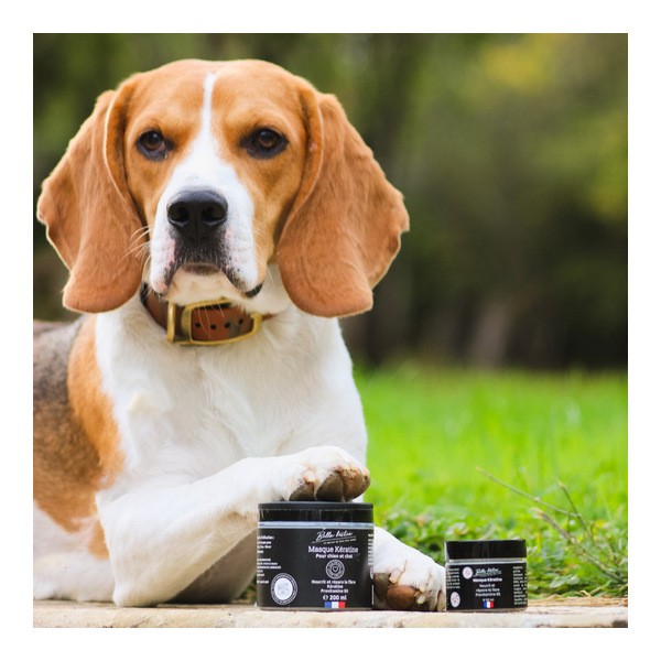 Bella Bestia Masque Kératine chien et chat