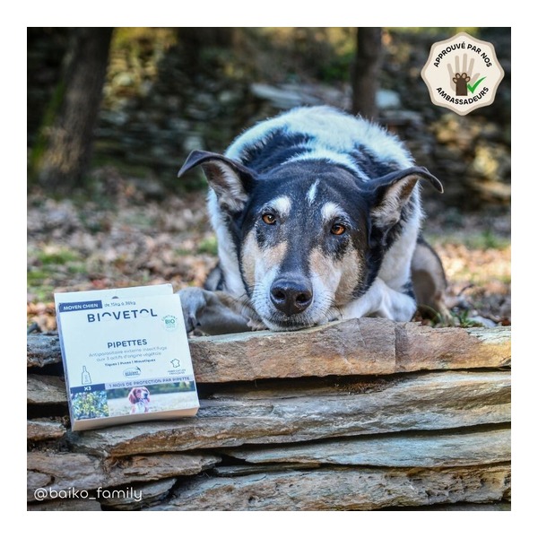 Pipette antiparasitaire chien Biovetol Bio