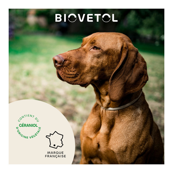 Collier anti puce chien Biovetol