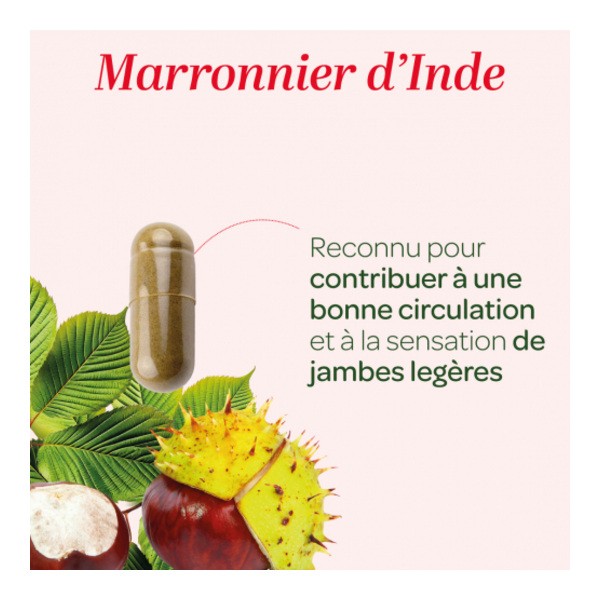 Super Diet Marronnier d'Inde Bio gélules