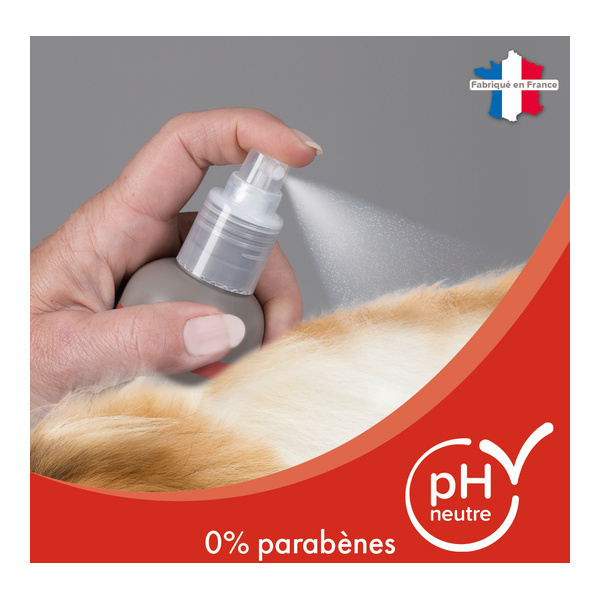 Beaphar Shampooing sec pour chat