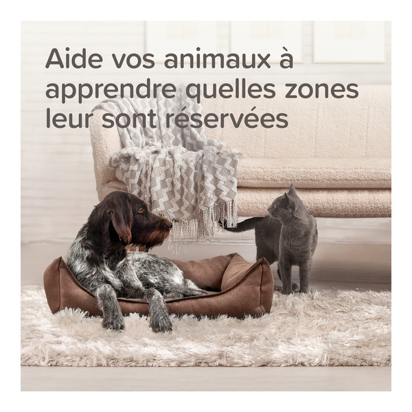 Beaphar Spray répulsif chat chien Keep Off Indoor