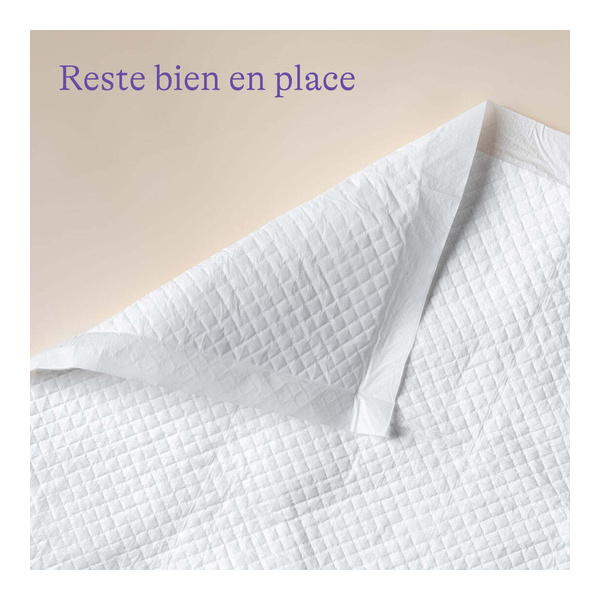Lansinoh Kit de protection anti-fuites post-partum