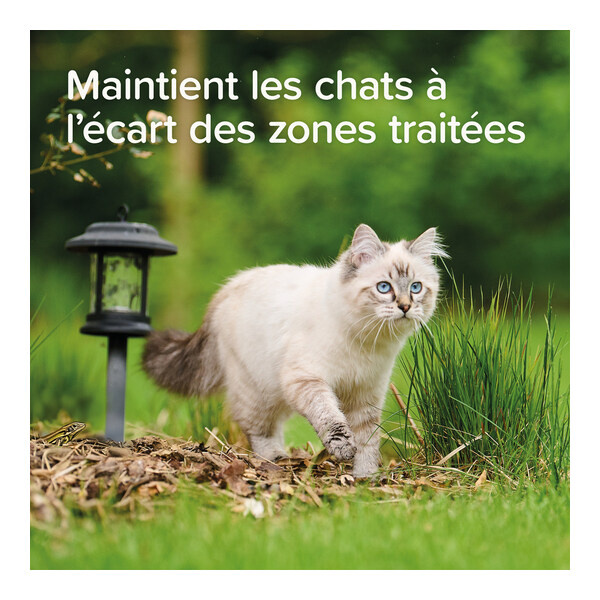 Beaphar Spray répulsif chat Keep Off Outdoor