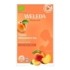 Weleda Tisane allaitement bio sachets