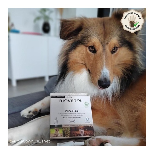 Pipette antiparasitaire chien Biovetol Bio