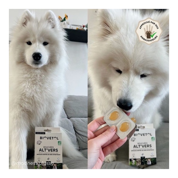 Biovetol bouchées Alt Vers Chien bio