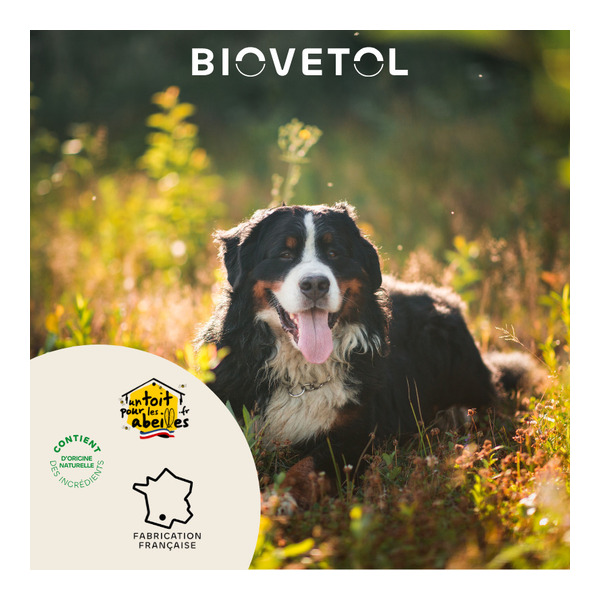 Probiotique chien et chiot Biovetol Régul Transit comprimés