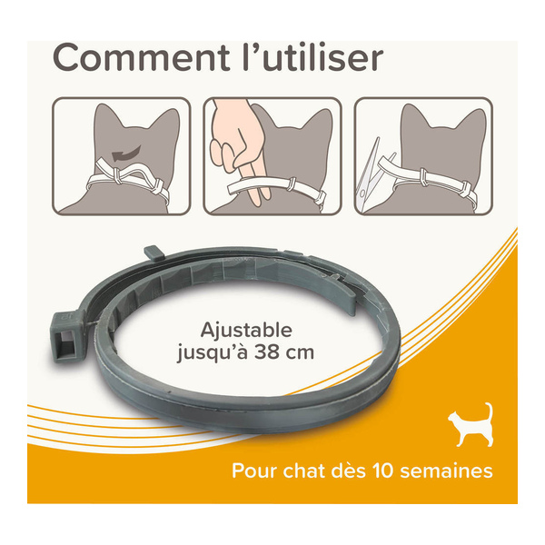 Collier anti puce chat Beaphar