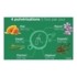 Lehning Propomax Gorge spray fort bio
