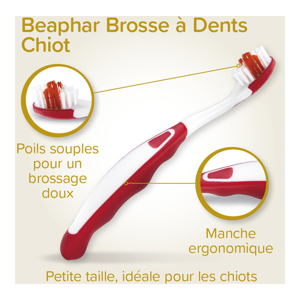 Beaphar Kit dentaire chiot