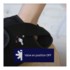 Igloo set Hallux valgus