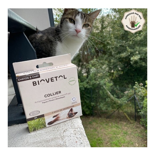 Collier anti puce chat Biovetol