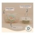 Biolane sucette silicone anatomique 0-6 mois Nuit