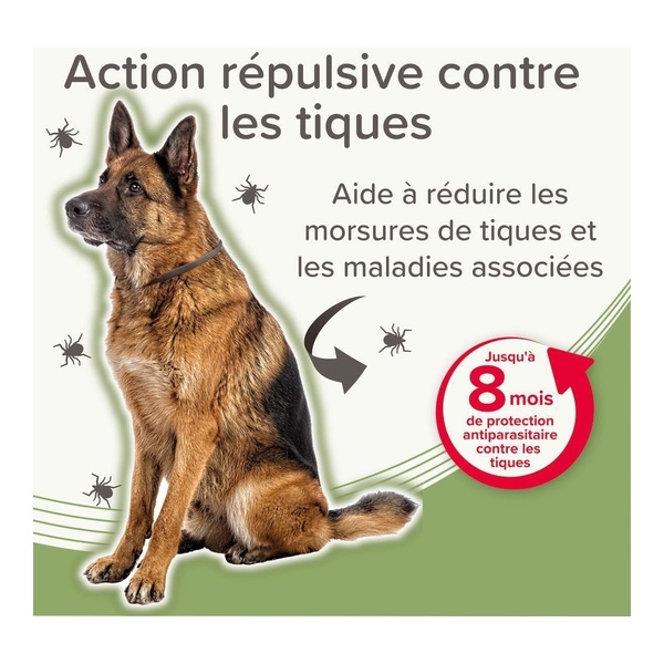 Collier anti puce chien Beaphar