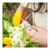 Puressentiel Anti Pique spray répulsif apaisant