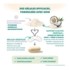 Babynat Maternité Post Partum gélules + capsules